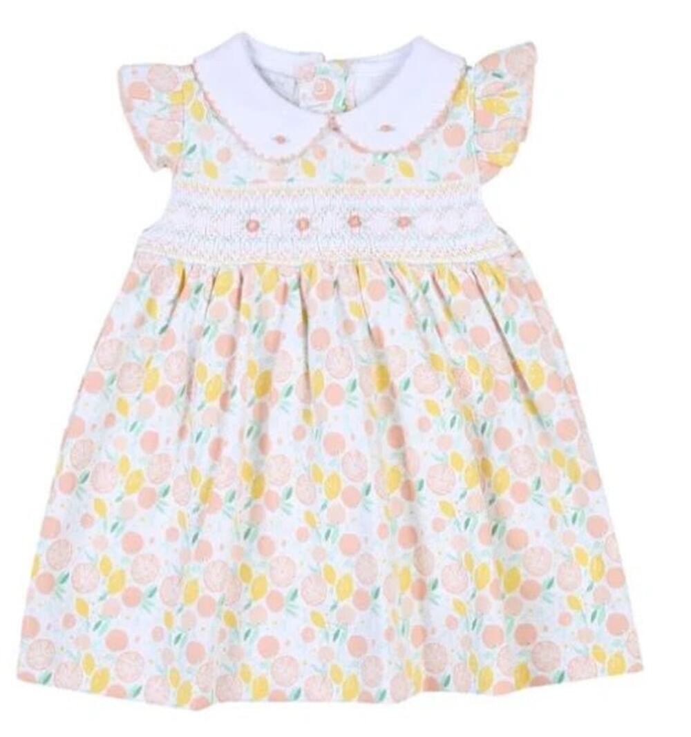 Magnolia Baby Girls Citrus Bouquet Smocked Printed Collared Flutter Dress 4T EUC